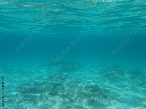 Underwater ocean photograph, blue and turquoise tones, looking up into sunlight from under the sea © LizFoster