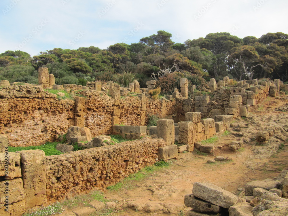 Ruines romaines - Cité de Tipaza