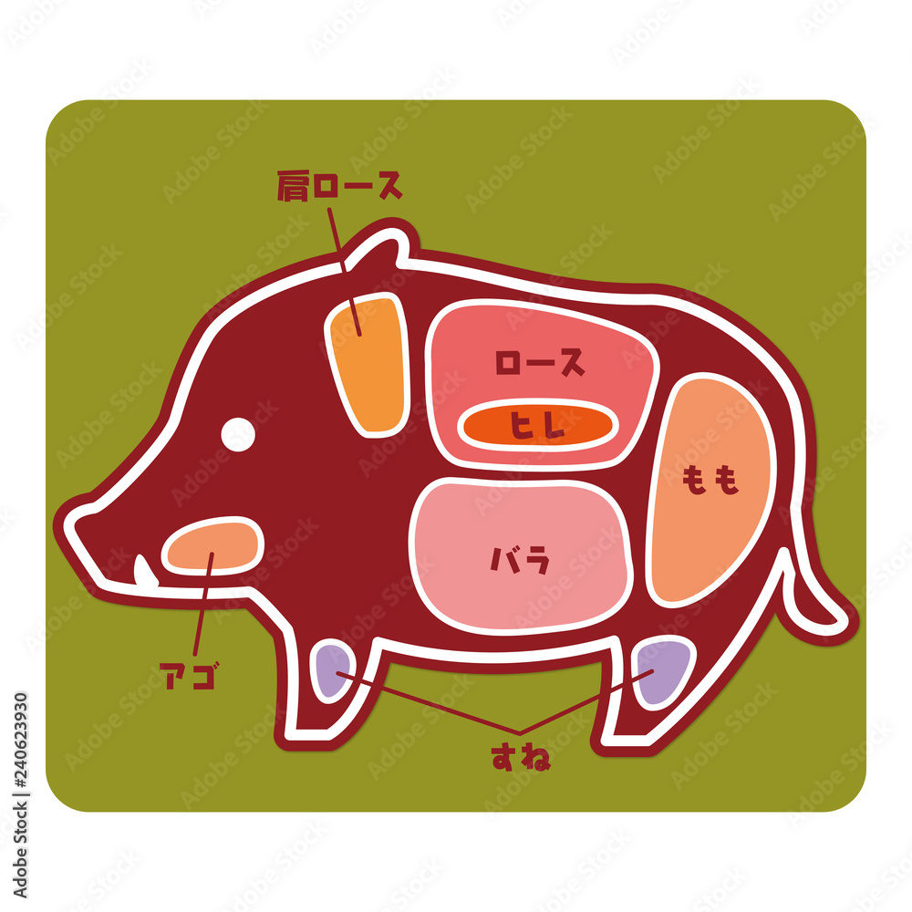 食物図解/猪肉の部位