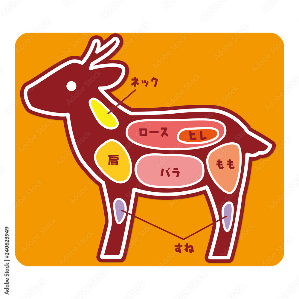 食物図解/鹿肉の部位 食物図解/鹿肉の部位