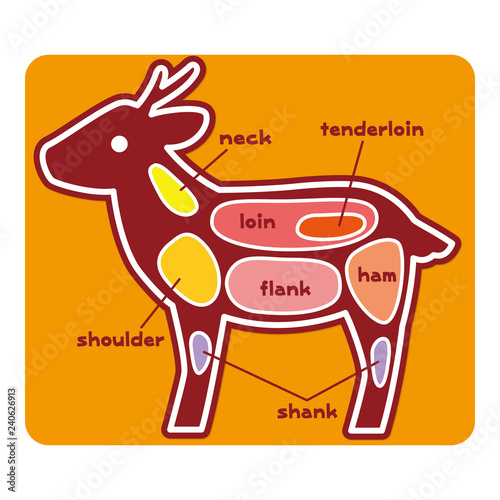 食物図解 鹿肉の部位 英語 Stock Vector Adobe Stock
