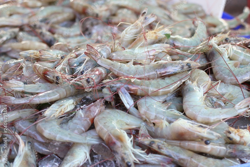 fresh shrimp at street food fresh shrimp at street food