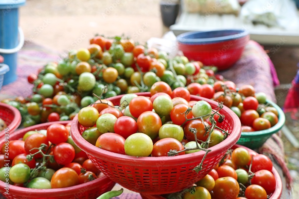 tomatoes at the market tomatoes at the market