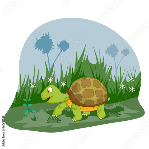 Pet animal Turtle on jungle forest background