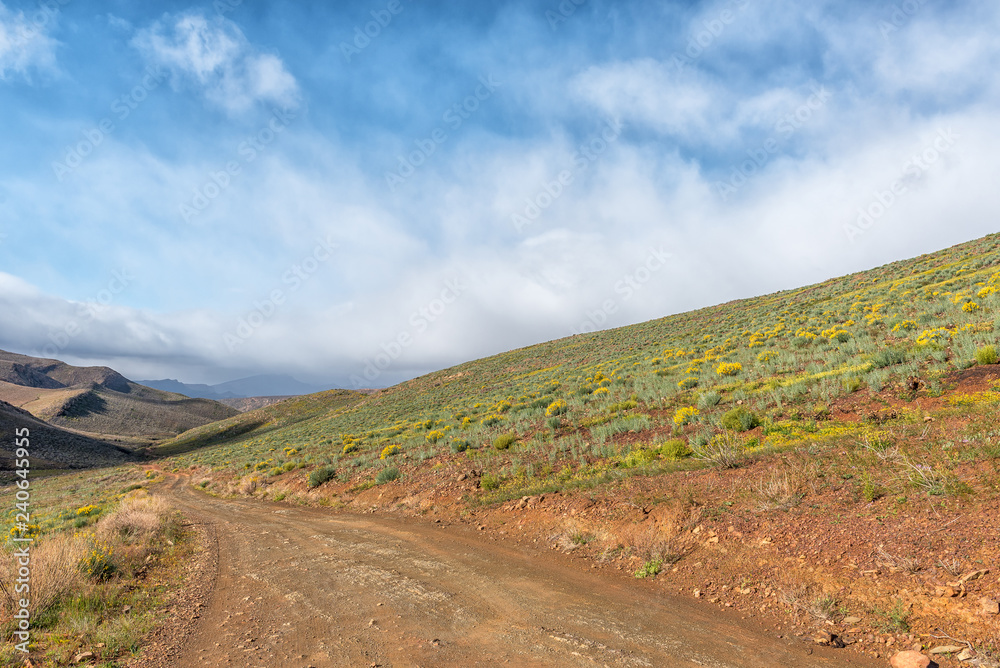 Road between Matjiesrivier and Wupperthal in the Cederberg Mountains