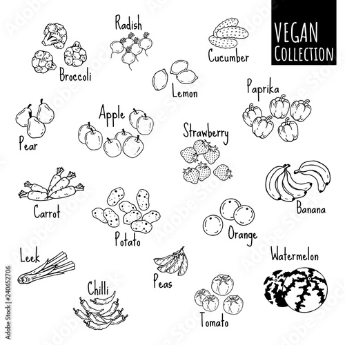 Group of vector illustrations on the vegetarianism theme  various types of fresh vegetables and fruits. Zero waste. Eco lifestyle. Isolated objects for your design.