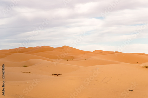 Beautiful view of the Erg Chebbi Dunes © matiplanas