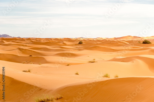 Sahara Desert  Morocco