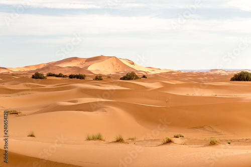 Dunes Erg Chebbi desert, Sahara, Merzouga