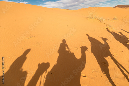 Caravan going through the Sahara Desert  Morocco