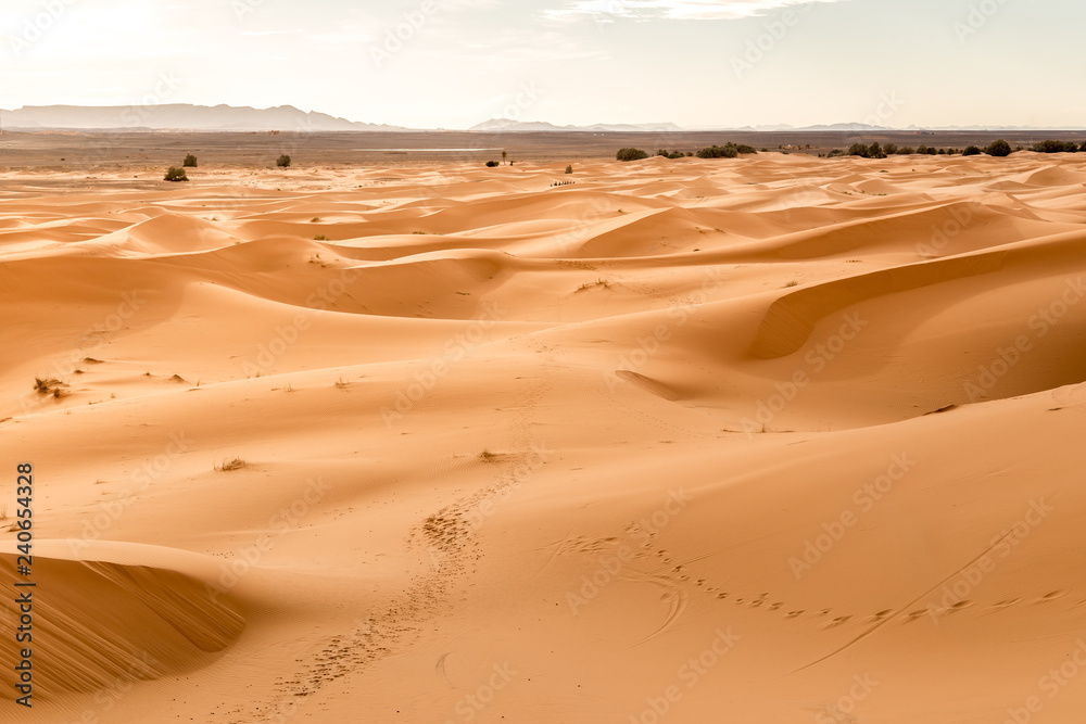 Fantastic view of Erg Chebbi in the Morocco Sahara desert