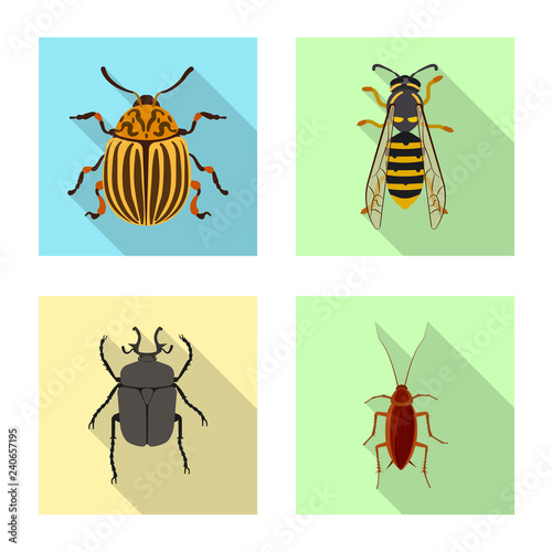 Isolated object of insect and fly symbol. Collection of insect and element vector icon for stock. © Svitlana