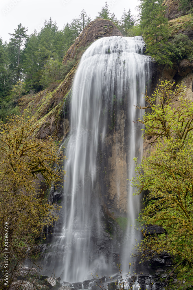 Fototapeta premium Silver Falls at Golden and Silver Falls State Natural Area, Oregon, USA