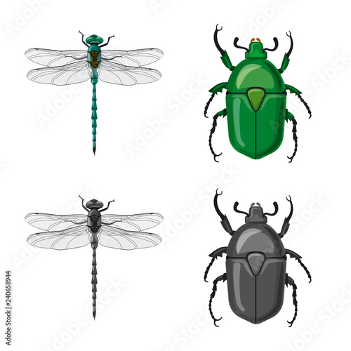 Vector design of insect and fly symbol. Set of insect and element stock symbol for web.