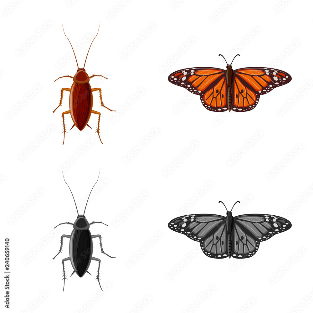 Naklejka premium Isolated object of insect and fly logo. Collection of insect and element stock symbol for web.