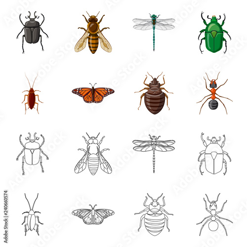 Vector design of insect and fly logo. Set of insect and element stock symbol for web. © Svitlana