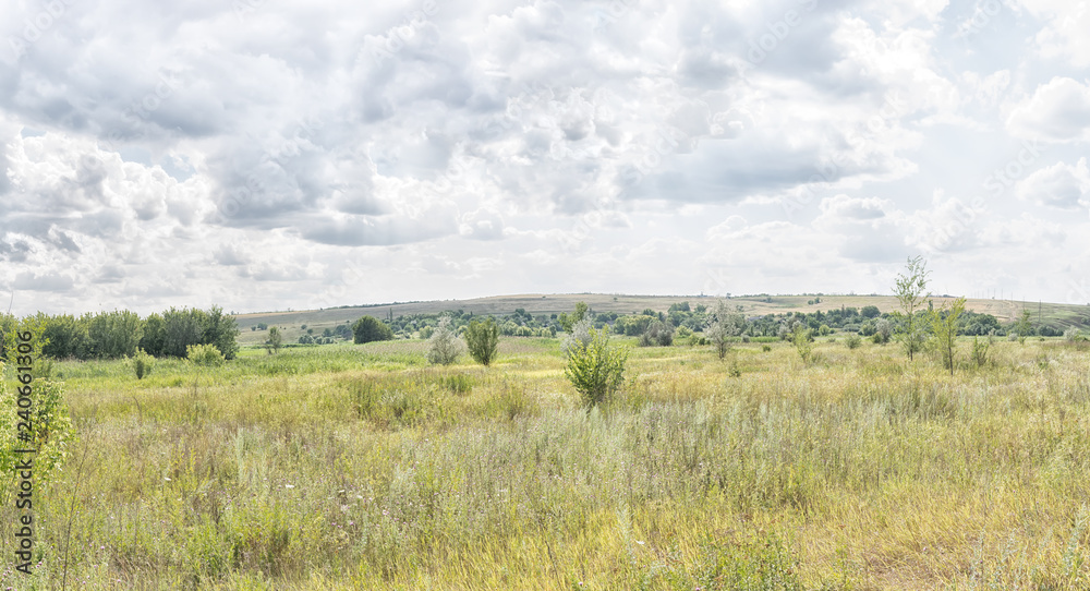 View of the steppe in Donbass