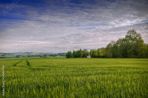 landschaft