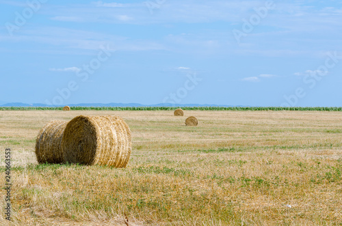 bales of hay in field