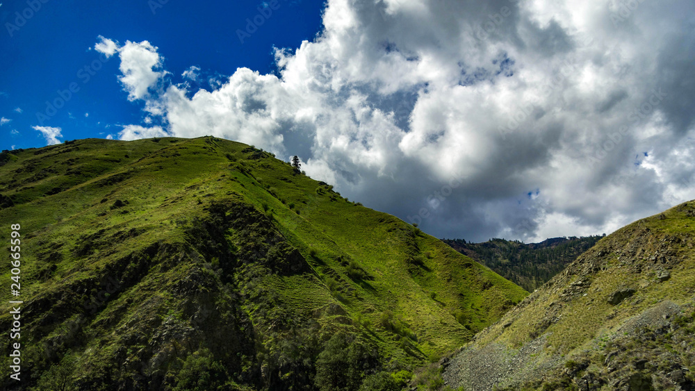 Green Hills of Scenic Idaho Widescreen