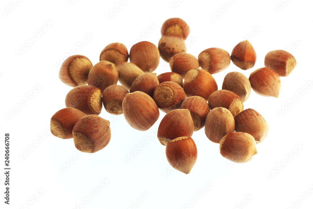 hazelnuts isolated on white background hazelnuts isolated on white background