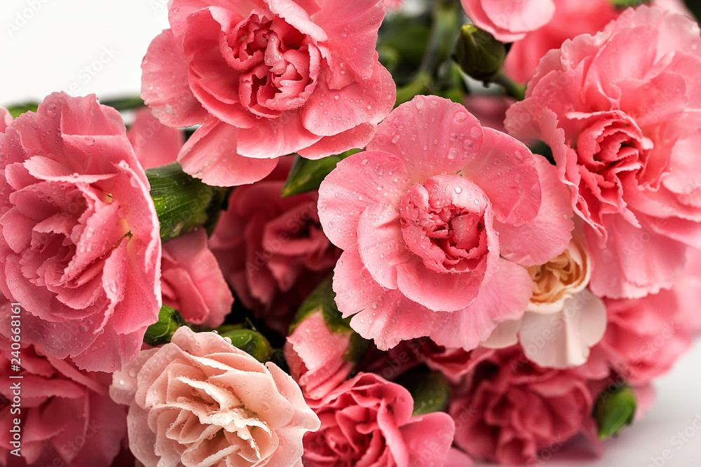 bouquet of pink carnations flowers bouquet of pink carnations flowers