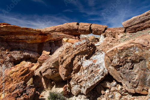 A broken petrified tree creates a bridge in the desert