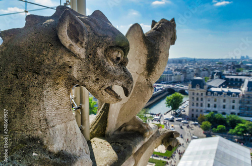 Notre-dame gargoyles, city in background