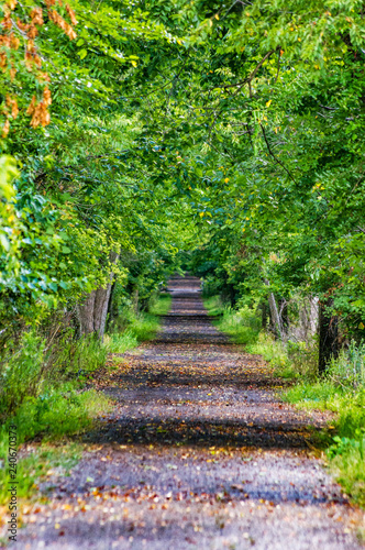 Nature Path