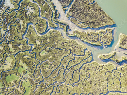 Fotografie, Obraz aerial view of marshland