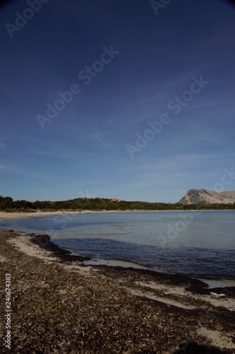 mare sea