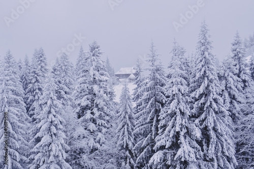 Carpathian winter landscape