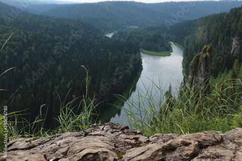 Usva river and forest