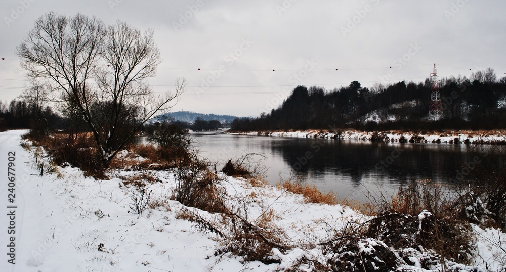 Fototapeta premium Pejzaż zimowy