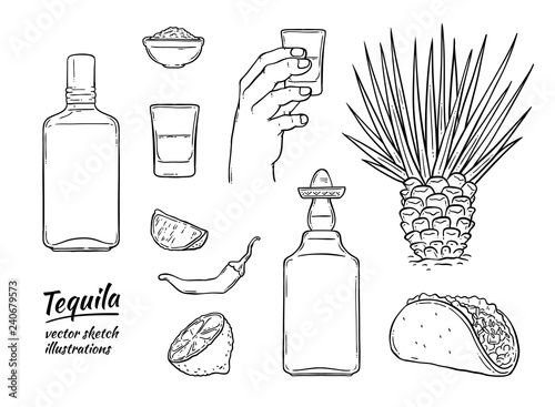 Vector tequila mexican symbols monochrome set. Glass bottle of alcohol drink, hand holding shot, line, cactus chili pepper and salt. Mexican traditional drink for party. Isolated illustration
