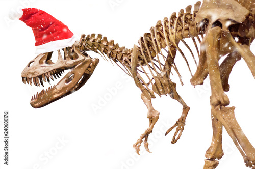 Dinosaur skeleton with Christmas hat, isolated.