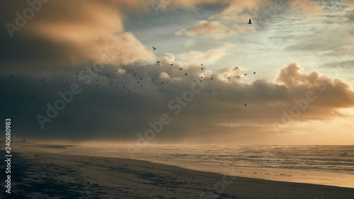 Seagulls flying over stormy sea photo