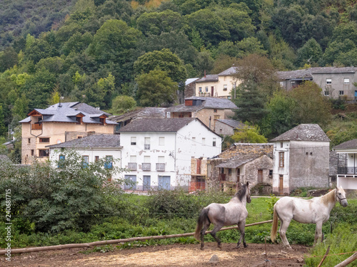 Pilgrims can rent horses and ride up to O'Cebreiro - Las Herrerias, Castile and Leon, Spain photo