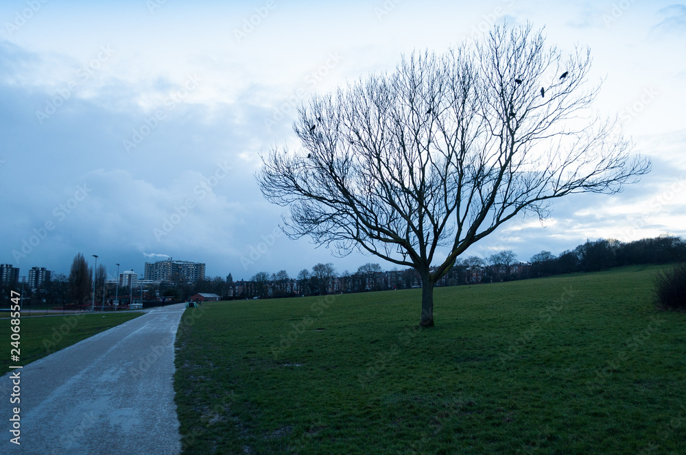 Obraz premium Hampstead Heath, London