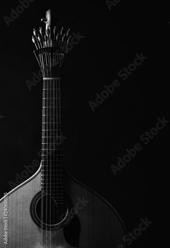 Portuguese Guitar photo