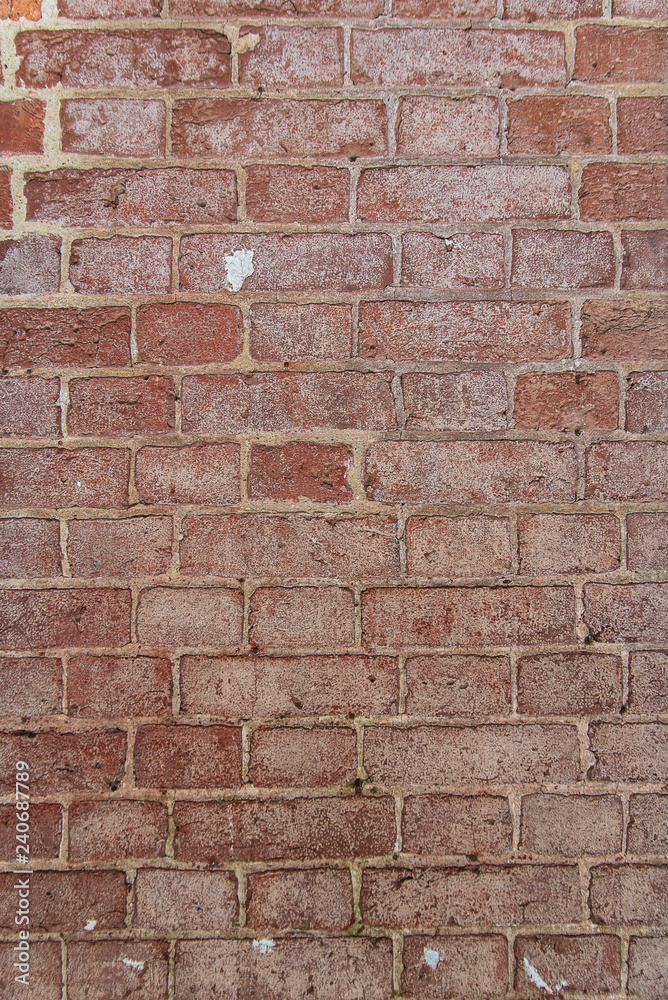 Fototapeta premium brick wall from old brick