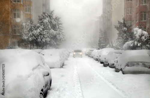 Photography Cars covered with snow in the a winter day