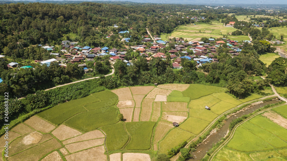 High angle view of Field in Thailand