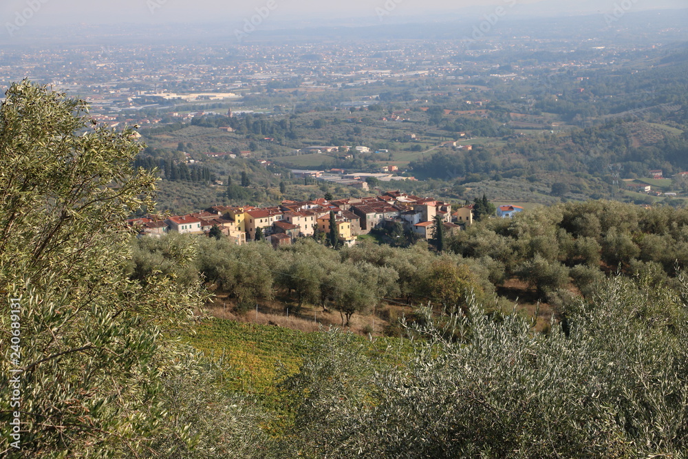 San Genaro , Tuscany Nature Moments 