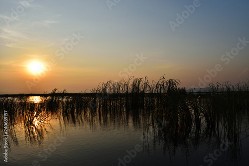Silhouette of the trees and water plants and the reflection in lake at sunset, Wetland at Khao Sam Roi Yot National Park, Thailand