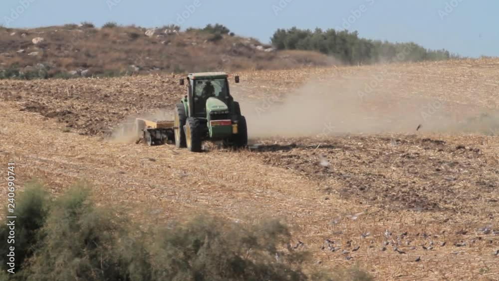 Tractor works on the field in Israel with birds flying Tractor works on the field in Israel with birds flying