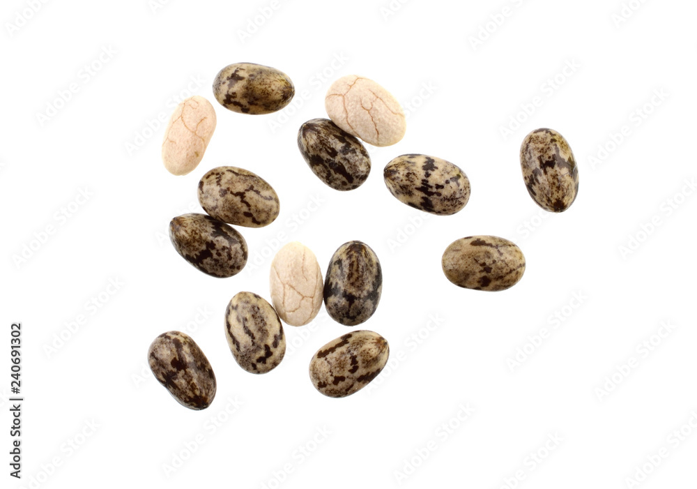 Macro Closeup on Chia Seed (Salvia Hispanica) Isolated on White Background. Macro Closeup on Chia Seed (Salvia Hispanica) Isolated on White Background.