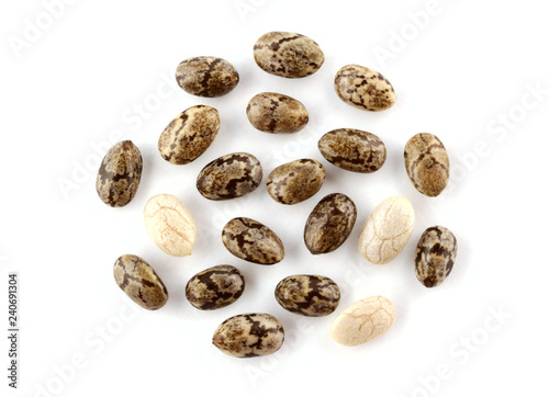 Macro Closeup on Chia Seed (Salvia Hispanica) Isolated on White Background.
