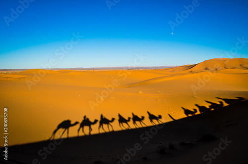 silhouette of camel caravan in desert