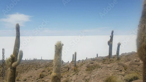 Incahuasi Island also known as Cactus Island on Salar de Uyuni, the World's Largest Salt Marsh. Altiplano, Bolivia photo